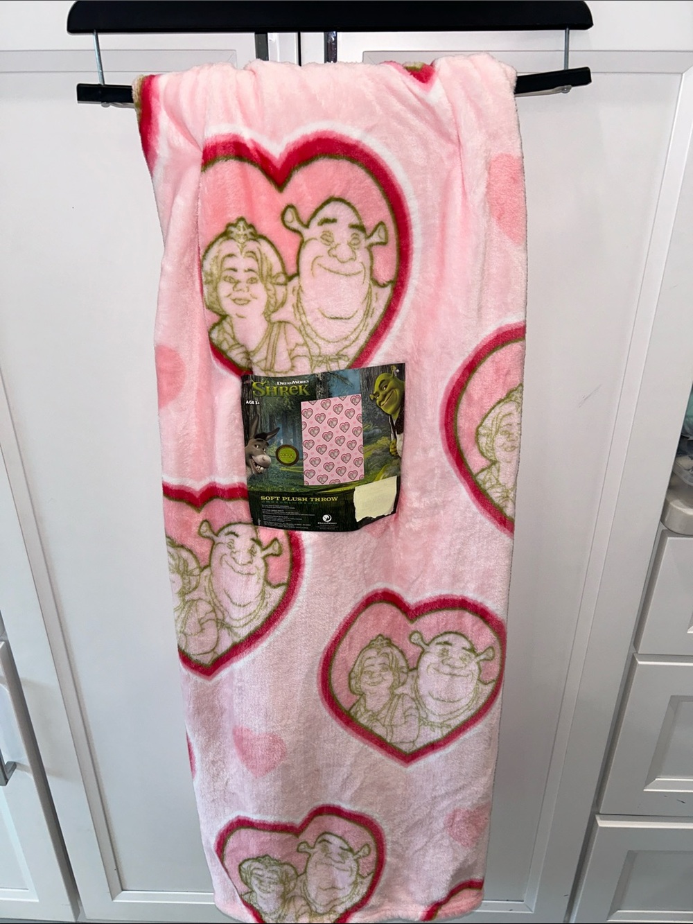 DreamWorks Pink Shrek & Fiona Heart Plush Throw Blanket 50”x70”
